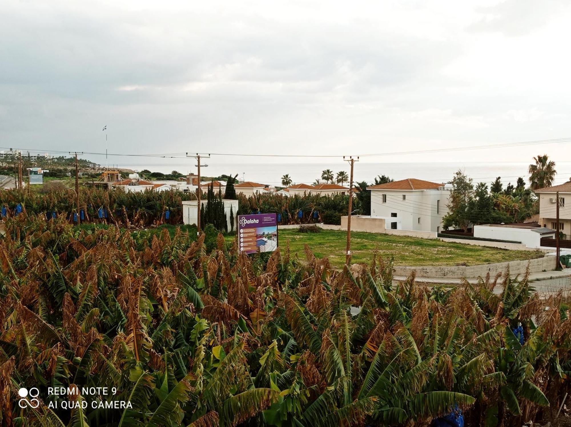 Blue Seaview Appartments 파포스 외부 사진
