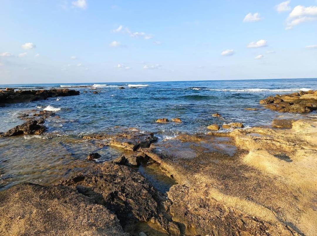 Blue Seaview Appartments 파포스 외부 사진