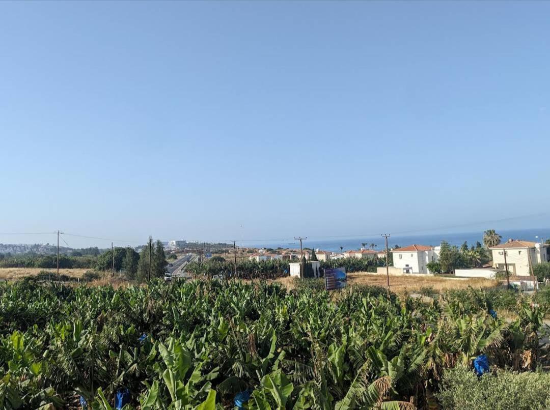 Blue Seaview Appartments 파포스 외부 사진